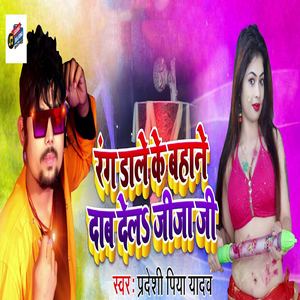 Rang Dale Ke Bahane Dab Dela Jija Ji