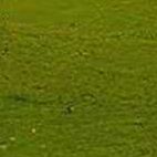 想要的不是现在