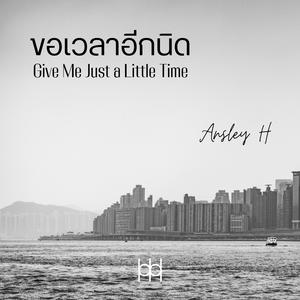 ขอเวลาอีกนิด (Give Me Just a Little Time)