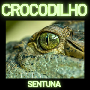 Crocodilho