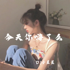 酒吧控场 (DJ版)