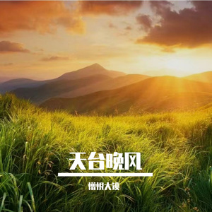 橘猫卧花丛