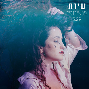 פרשי כנפייך