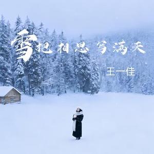 雪把相思写满天