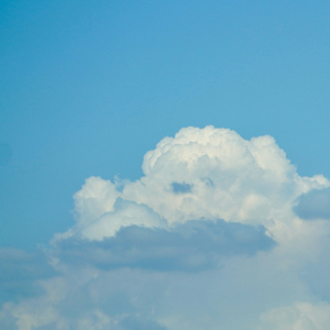 행복은 어디에나 있어