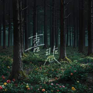 月光（Prod by Lisure）