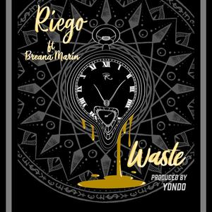 Waste (feat. Breana Marin)