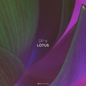 Lotus (DP-6 Blooming Dub)
