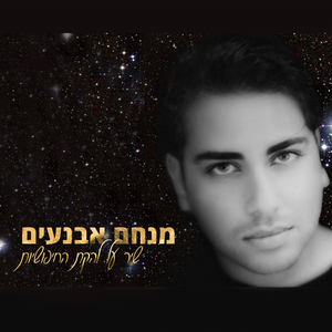 שיר על להקת החיפושיות