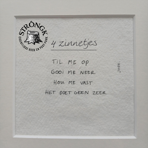 4 Zinnetjes
