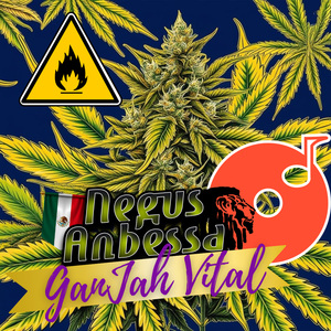 G***ah Vital