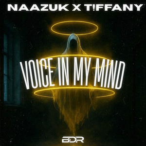 Voice In My Mind