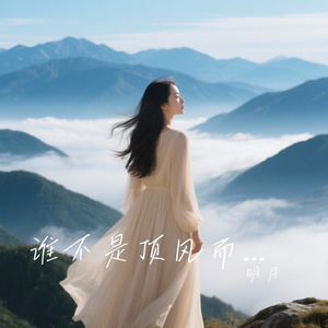 谁不是顶风而上