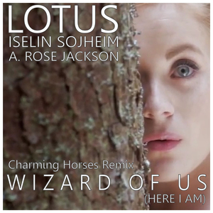 Wizard of Us (Charming Horses Remix)