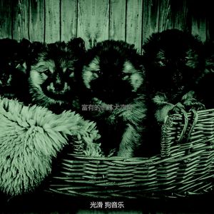 柔和的孤独的狗时刻