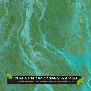 Evening Birds Singing at Ocean Land