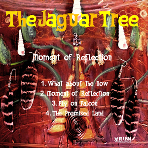 Moment of Reflection