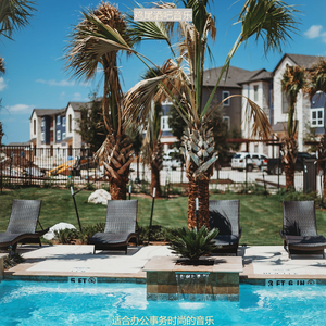 适合办公事务轻快的音乐