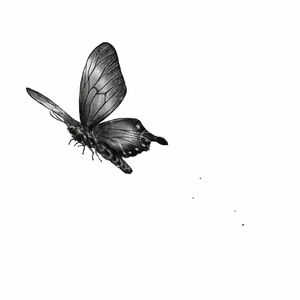 绵阳star 郑州人