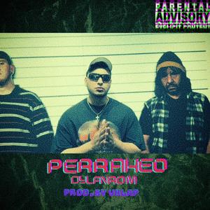 Perrakeo (feat. Vklap)