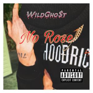 No Rose
