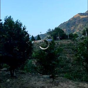 我把我的梦想卖了三两三-八小时时差温暖完整版啦