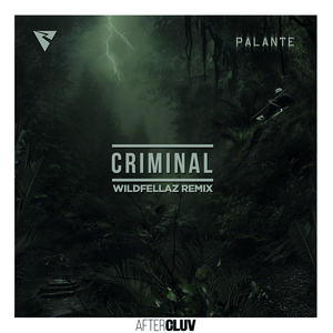Criminal (Wildfellaz Remix)