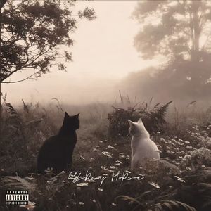 Don't want write this down