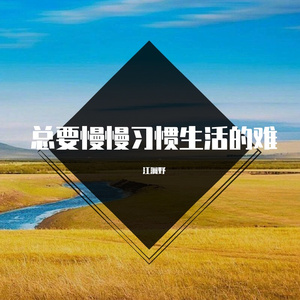 总要慢慢习惯生活的难