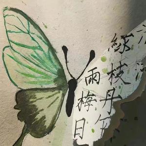 后来苏运莹版