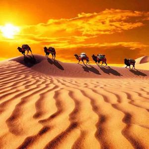 沙漠幻黄昏