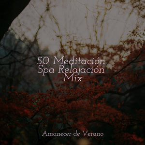 Mareas Translúcidas