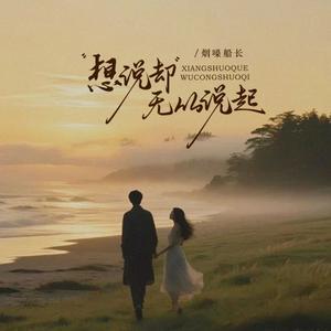 想说却无从说起（翻自 张艺迈）