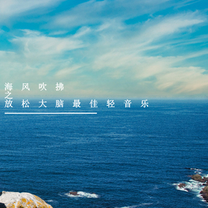 海风与候鸟 (纯音乐)