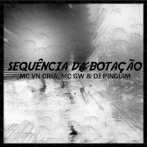 Sequência da Botação (feat. Mc Gw)
