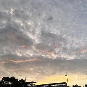 告白书(Prod By 牙刷）