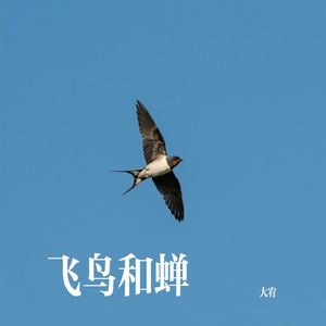 飞鸟和蝉