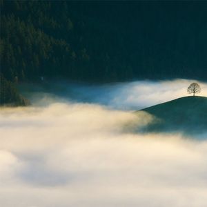 凌晨三点的咖啡