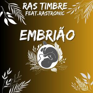 Embrião