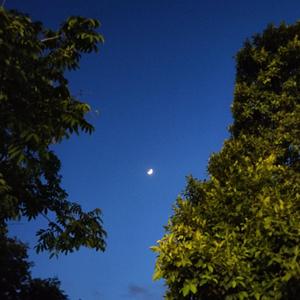 未命名混音项目 2_缩混