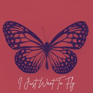 I Just Want To Fly