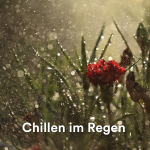 Petrichor: Der Duft des Regens auf Asphalt