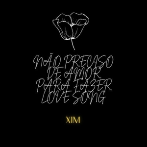 NÃO PRECISO DE AMOR PARA FAZER LOVE SONG