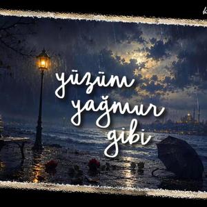 Yüzüm Yağmur Gibi - Mehmet Şamil