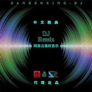 队长-哪里都是你DJ（ ProgHouse Rmx 车载版）