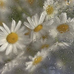 时光UV MIX（离谱时光 remix）