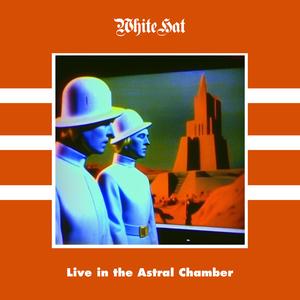 Psilocybe Elephantis (Live)