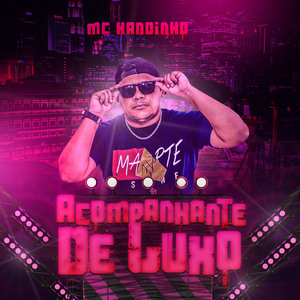 Acompanhante de Luxo