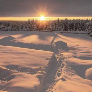 Wicked Wonderland（0.8）