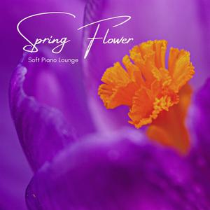 Blahodárná energie